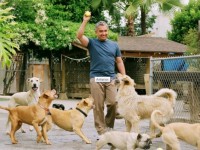 En boca de un experto: el encantador de perros.